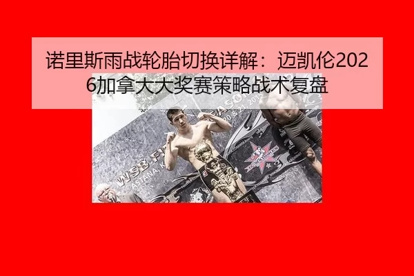 诺里斯雨战轮胎切换详解：迈凯伦2026加拿大大奖赛策略战术复盘