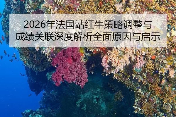 2026年法国站红牛策略调整与成绩关联深度解析全面原因与启示