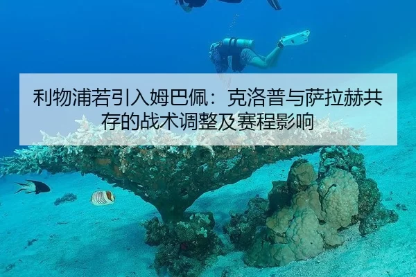 li-wu-pu-ruo-yin-ru-mu-ba-pei-ke-luo-pu-yu-sa-la-he-gong-cun-de-zhan-shu-tiao-zheng-ji-sai-cheng-ying-xiang-2-712.jpg