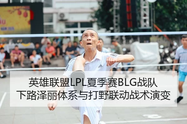 英雄联盟LPL夏季赛BLG战队下路泽丽体系与打野联动战术演变